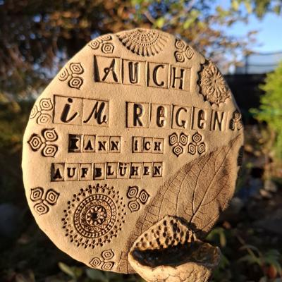 Insektentraenke Regen